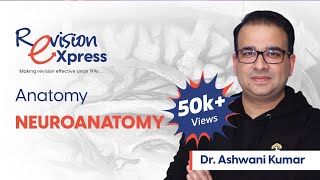 Revision eXpress Anatomy Neuroanatomy  Dr Ashwani Kumar [upl. by Mccallum172]