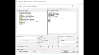 How to Backup Veritas NetBackup 82 Microsoft SQL Full Tlog and Intelligence [upl. by Carrel]