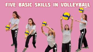 Five Basic Skills in Volleyball [upl. by Haerr]