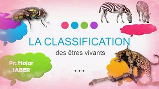 La classification des animaux 1AC partie 1 [upl. by Auqinal]