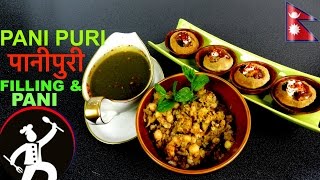 PANI PURI पानीपुरी  Pani and Filling For PANIPURI  How to make Pani Puri 🍴 37 [upl. by Saticilef]