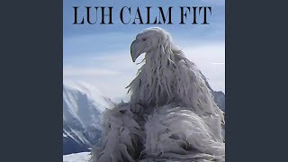 Luh Calm Fit [upl. by Efi444]