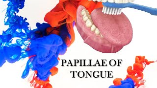 White tongue  3 Reasons for the White Coating on Your Tongue and What to Do About It 1 [upl. by Grethel93]