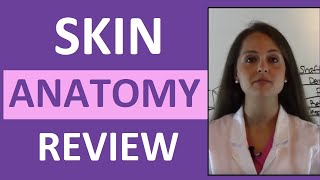 Anatomy amp Physiology Integumentary Skin System Overview [upl. by Ariad]