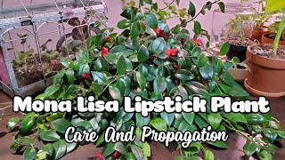 Mona Lisa Lipstick Plant Aeschynanthus Care And Propagation [upl. by Atrebor]