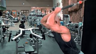 Overhead Cable Tricep Extension [upl. by Ppilihp450]