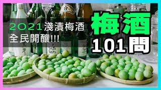 【梅酒101問】淺漬梅酒教學全解析，看完這集沒有失敗的理由，保證梅問題！廚房廢寶索艾克，威士忌梅酒、Gin梅酒、真露梅酒！ [upl. by Samuele]