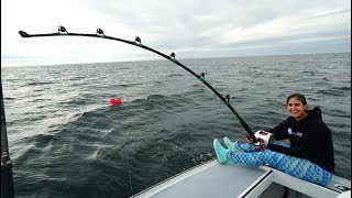 GIANT Rods GIANT Baits GIANT TUNA New England Bluefin Tuna Fishing [upl. by Collier933]