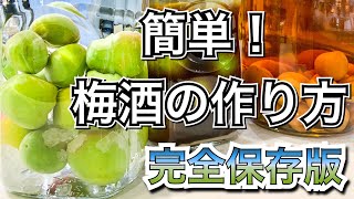 【梅酒の作り方】基本レシピと失敗しないコツ！梅酒のＱampA 甘さ控えめ2種を紹介！ [upl. by Ablasor]