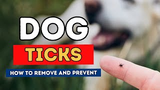 Dog Ticks How To Remove and Prevent [upl. by Retse753]