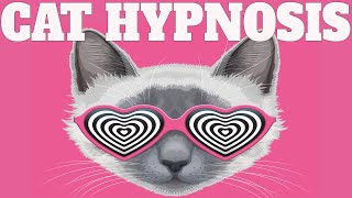 Sound To Calm Cats Within Minutes  Cat Hypnosis [upl. by Nealson]