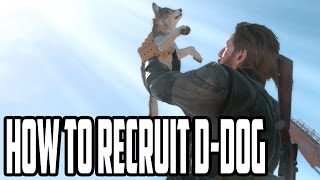 Metal Gear Solid 5  How and Where To Find DDog  Most Adorable Buddy [upl. by Feinberg]