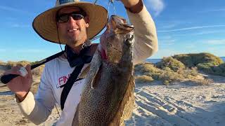 BAJA SHORE FISHING CEVICHE TIME [upl. by Abbot]