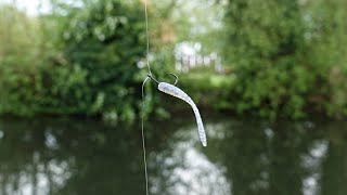 Micro Dropshot Catches BIG Canal Fish [upl. by Ada]