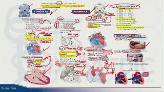 ESI 2019 PEDIATRÍA CARDIOPATÍAS CONGÉNITAS  DR JHON ORTIZ [upl. by Lanor944]