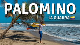 TODO SOBRE PLAYA PALOMINO COLOMBIA 🇨🇴 EN UN SOLO VIDEO 🤩 [upl. by Dumanian]