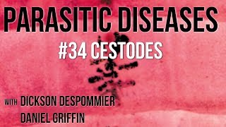 Parasitic Diseases Lectures 34 Cestodes [upl. by Peregrine]