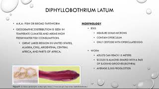 Cestoda 3 of 3 [upl. by Oneg]