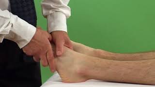 Anterior talofibular ligament test [upl. by Aieki]