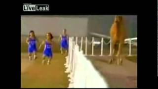 4 Midgets Race a camel w Super Mario Bros Sounds [upl. by Ximena963]