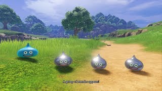 Dragon Quest XI Switch  Early Game EXP Grinding on Slime Island [upl. by Atul]