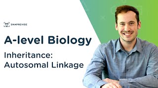 Inheritance Autosomal Linkage  Alevel Biology  OCR AQA Edexcel [upl. by Yorgen593]