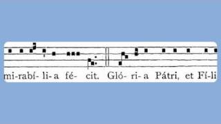 Puer Natus Est Nobis Christmas Day Introit [upl. by Nylek]