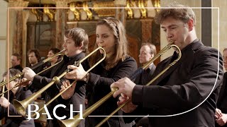 Bach  Sinfonia from Cantata BWV 29  Netherlands Bach Society [upl. by Nehpets587]