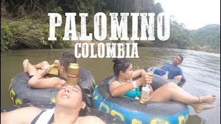 River Tubing in Rio Palomino Colombia [upl. by Vinny]