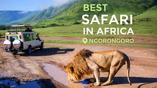 Travel in 2021 Safari in Tanzania Ngorongoro [upl. by Leuqar]