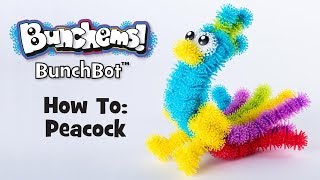 BunchBot How To Peacock [upl. by Htezzil844]