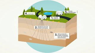 Projet détude géophysique par sismique réflexion 3D  Rochefort [upl. by Diver410]