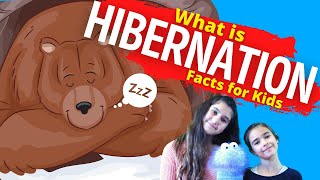 What is Hibernation  Hibernation For Kids [upl. by Aicirtam]