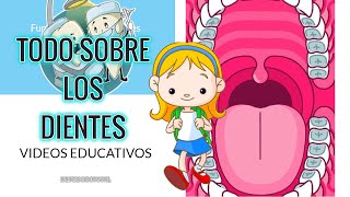 LOS DIENTES QUE SON FUNCIONESENFERMEDADES Y CUIDADOS VIDEOS PARA PREESCOLAR Y PRIMARIA [upl. by Hera]