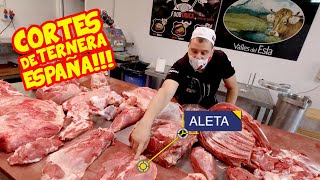 Los CORTES de la TERNERA en ESPAÑA 🐄 Pecho Babilla Aleta Tapa Contra [upl. by Siari]