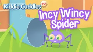 Incy Wincy Spider – Nursery Rhymes – Kiddie Cuddles [upl. by Saxela]