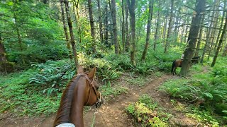 Horse Trail ride on a difficult singletrack trail [upl. by Honor200]