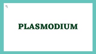 Malarial Parasite  Plasmodium Life cycle  Lab diagnosis  Morphology  Parasitology  MEDZUKHRUF [upl. by Htessil]