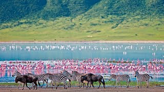 Adventure Highlight Ngorongoro Crater Africa [upl. by Anitnerolf]