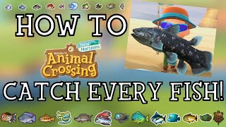 How To Catch Every Fish in Animal Crossing New Horizons  New Horizons Fishing Guide [upl. by Schwerin596]