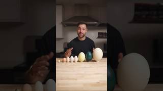 I Cooked the World’s CRAZIEST Eggs [upl. by Ytomit517]