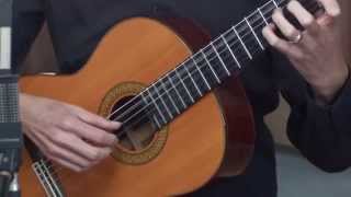 Classical Guitar Lesson 1 [upl. by Eesak248]