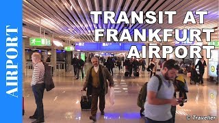 TRANSIT WALK AT FRANKFURT Airport FRA Terminal 1  Connection Flight Transfer Arriving amp Departing [upl. by Barbette]