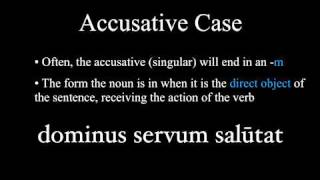 The Nominative and Accusative Cases [upl. by Annekam]