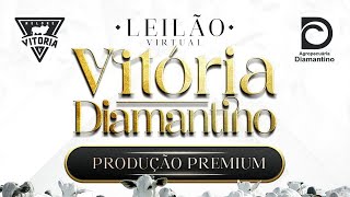 LEILÃO VIRTUAL VITÓRIA DIAMANTINO PRODUÇÃO PREMIUM [upl. by Josi123]