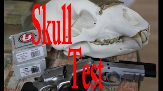 Underwood Extreme Penetrator test on an Actual Grizzly Skull 10mm vs 44 mag [upl. by Esilahs]