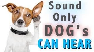 Sound Dogs Can Only Hear  HQ [upl. by Evan]