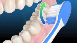 Técnica de higiene con cepillo manual [upl. by Ha]