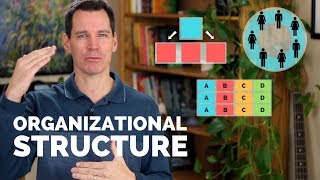 Organizational Structure [upl. by Sedlik570]